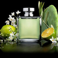 INSPIRADO EN VERSENSE EDT